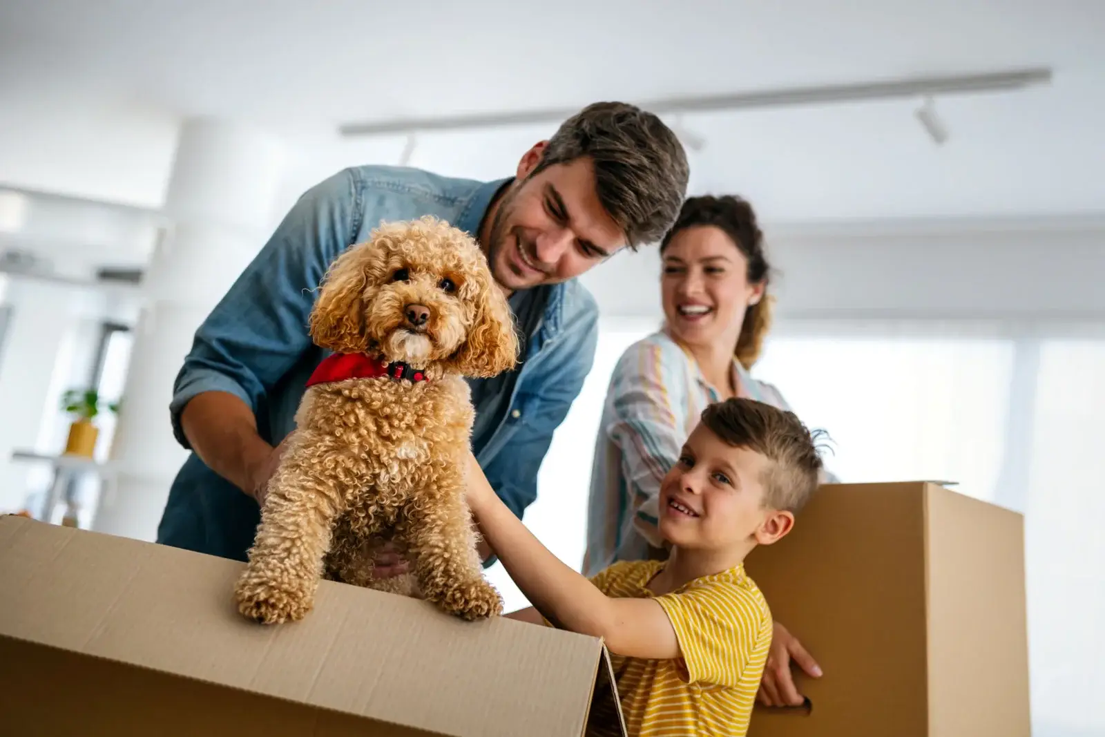 Residential home representing conventional financing